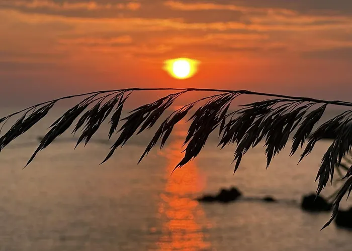 Hébergement de vacances Residenza Stella